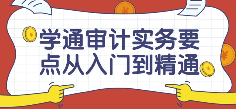 学通审计实务要点从入门到精通课