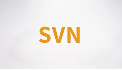 SVN视频课程 – 带源码课件