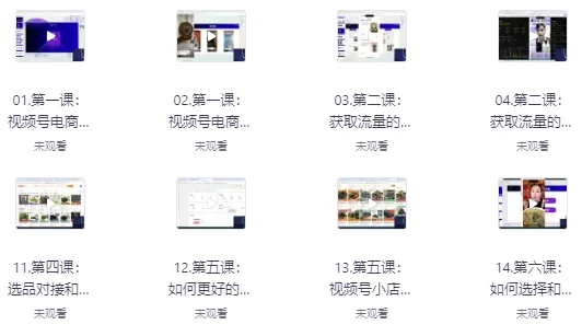 视频号微信豆直播打品陪跑营（十三期）