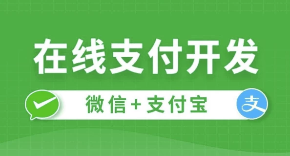 在线支付开发 - 带源码课件