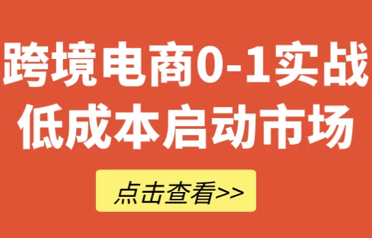 跨境电商0-1实战低成本启动市场