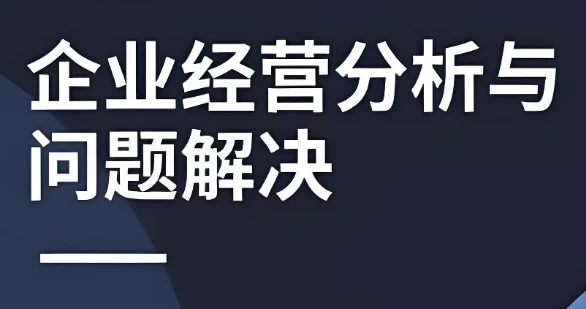 企业经营分析与问题解决