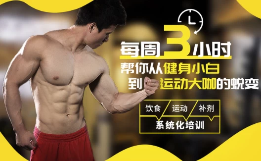 扔掉无效健身！每周3小时，拥有完美身材