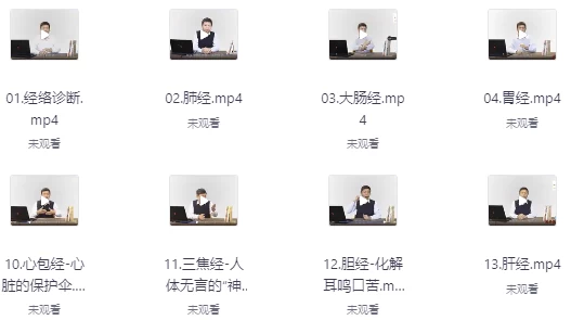 经络诊断与处方十二经络循