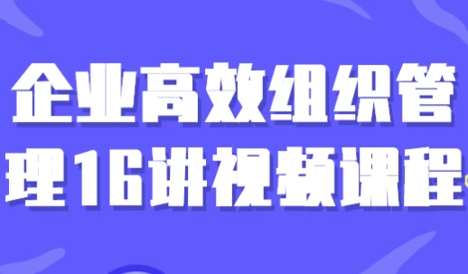 企业高效组织管理16讲视频课程