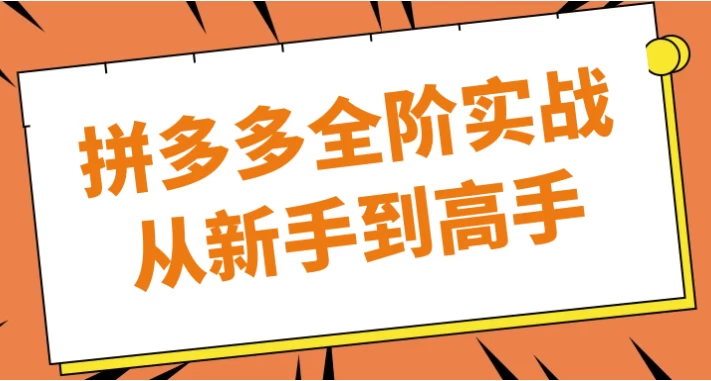 拼多多全阶实战从新手到高手