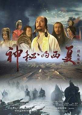 神秘的西夏(2015)