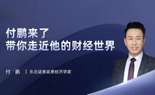 油管《付鹏财经世界》专栏合集