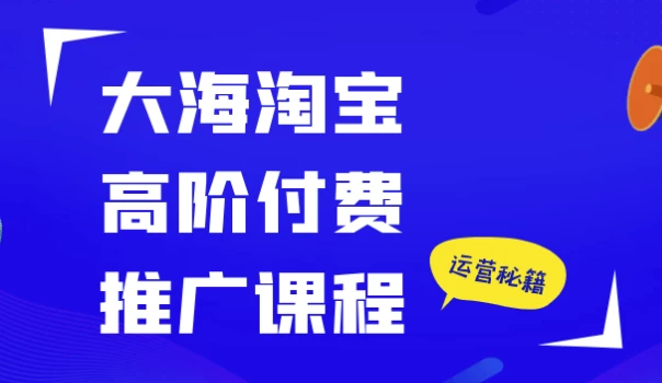 大海淘宝高阶付费推广课程
