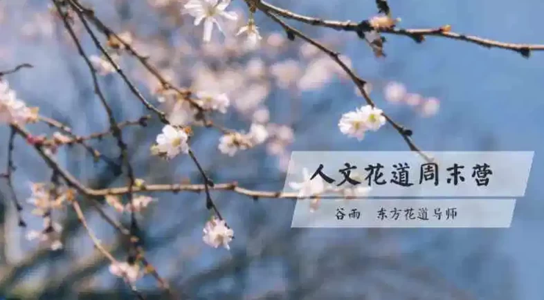 人文花道美学营