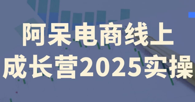 阿呆电商线上成长营2025实操