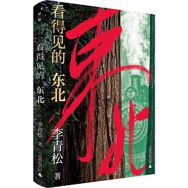 《看得见的东北》
