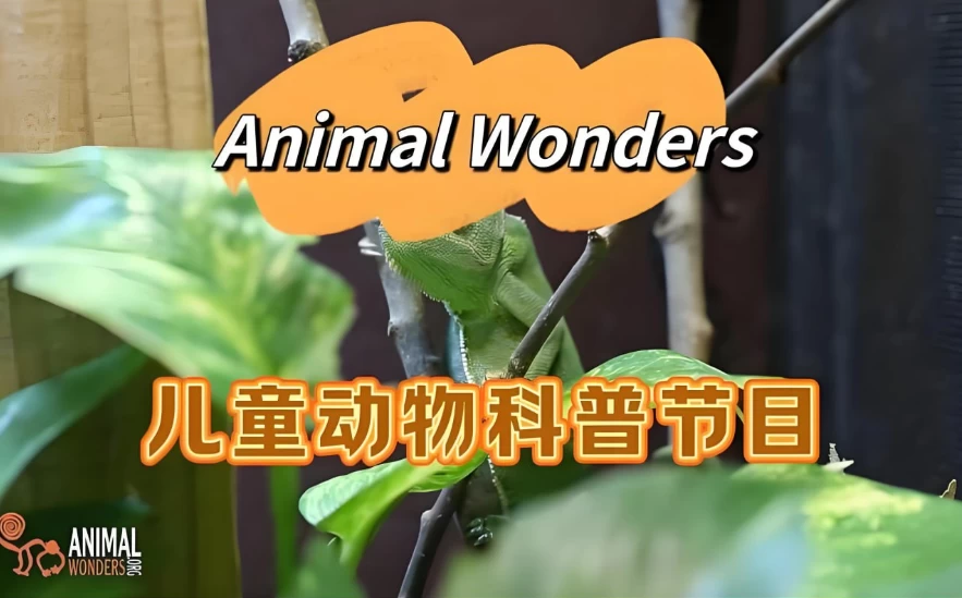 油管热门英文儿童动物科普节目《动物奇观 Animal Wonders》 1 油管热门英文儿童动物科普节目《动物奇观 Animal Wonders》 1