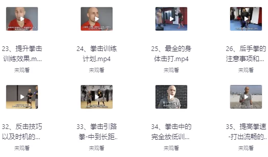 杰森拳击高清系统教学中英字幕