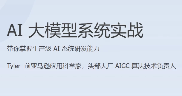 AI大模型系统实战（完结）