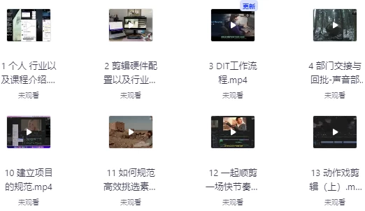 莱尼日记影视剪辑全流程入门+短剧实战课 - 带素材