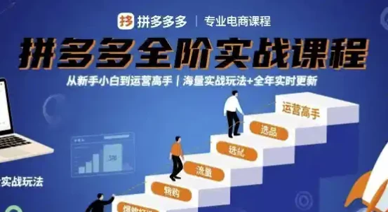 大炮拼多多全阶实战课程，从新手小白到运营高手，海量实战玩法+全年实时更新【2025年9月更新】