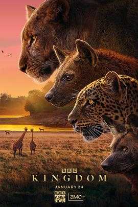 动物王国 Kingdom(2025) 1