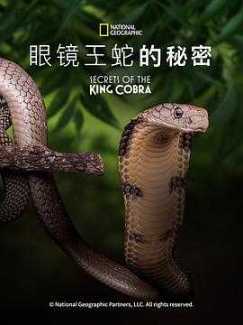 眼镜蛇的秘密 Secrets of the King Cobra(2010) 1 眼镜蛇的秘密 Secrets of the King Cobra(2010) 1